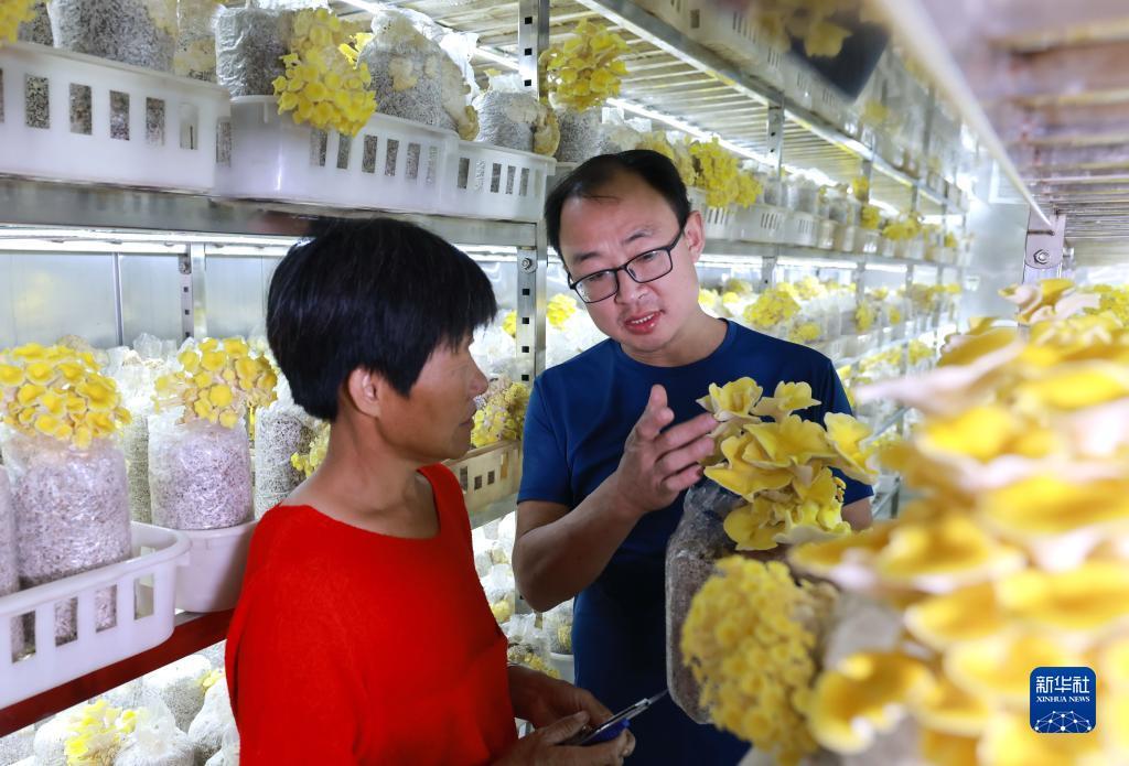 无尽银河官方网站
